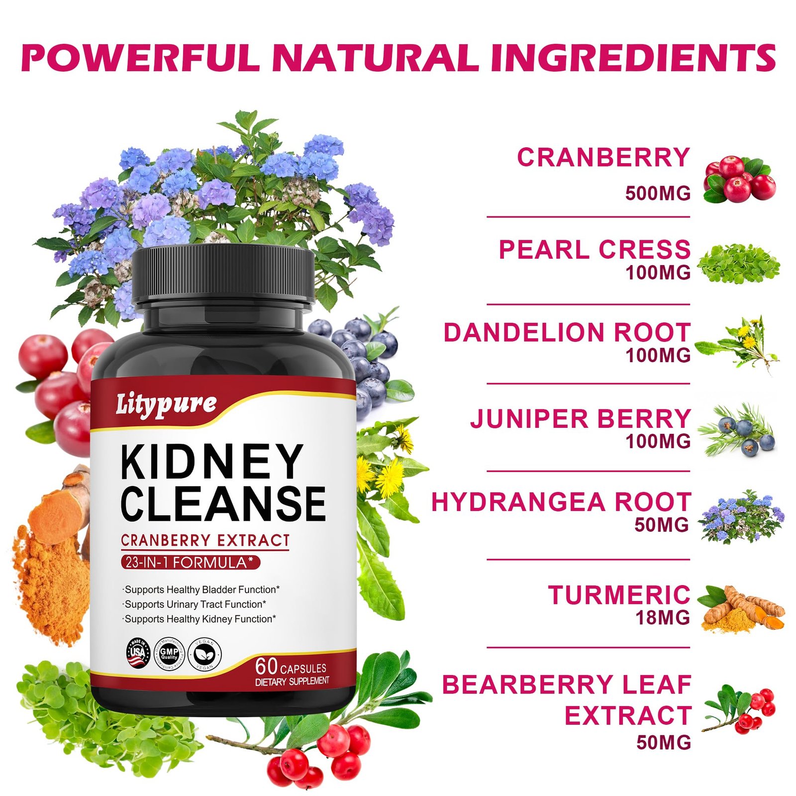 23-in-1 Kidney Cleanse Detox & Repair with 50:1 Cranberry Extract | Botanical Formula for Urinary Tract Wellness | 60 Capsules - Image 3